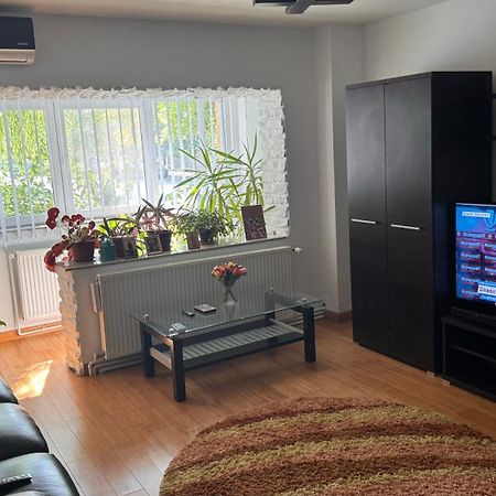 Apartament 3 Camere Отопень Екстер'єр фото